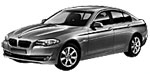 BMW F10 B22A6 Fault Code